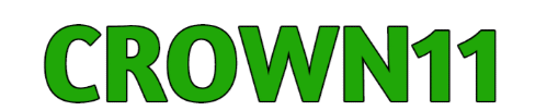 Crown 11 Logo